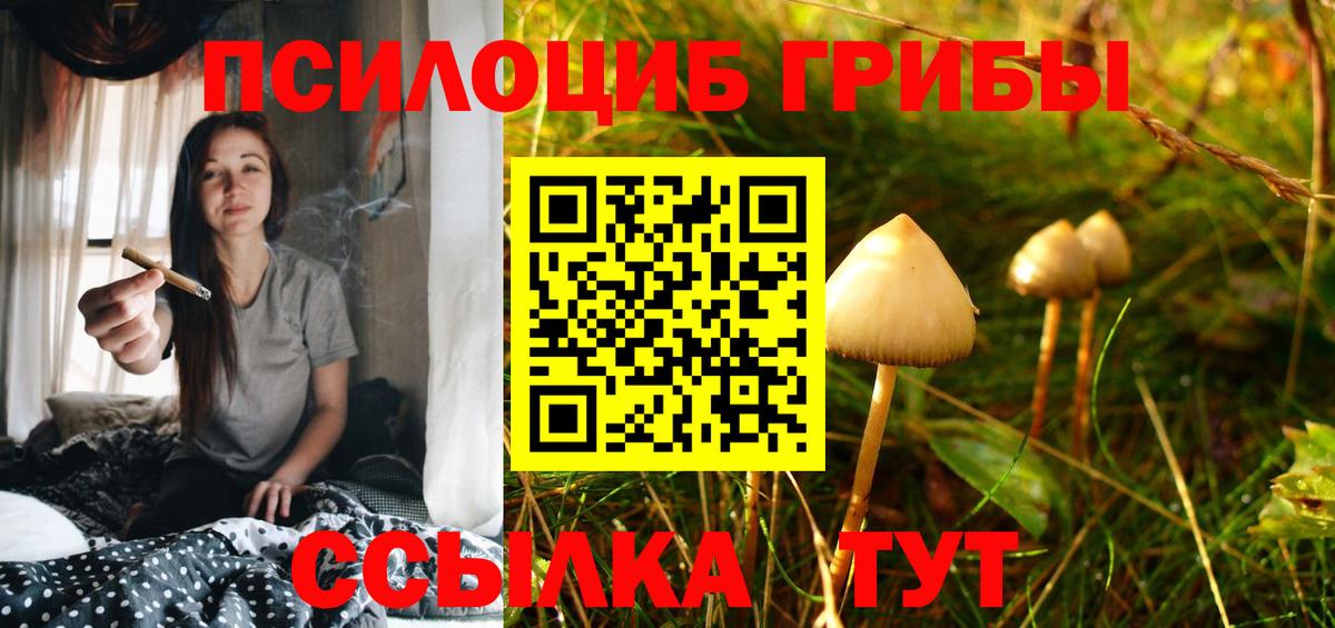 Псилоцибиновые грибы Cubensis  наркотики  Вход с VPN  Лениногорск  Галлюциногенные грибы мухоморы 