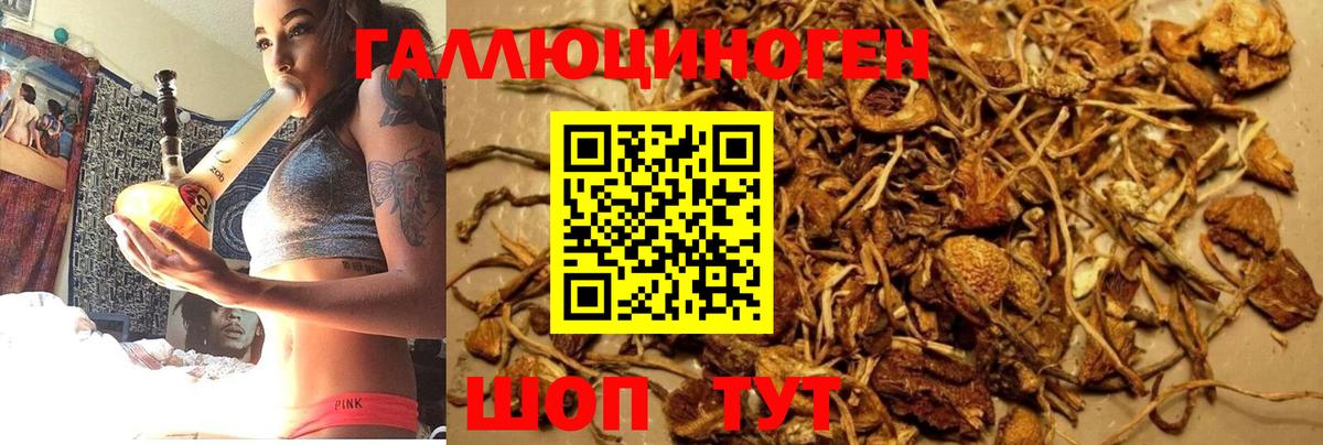 Псилоцибиновые грибы Magic Shrooms Лениногорск
